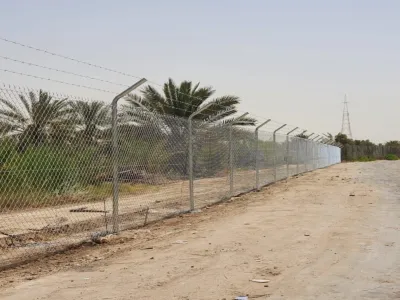 شبوك